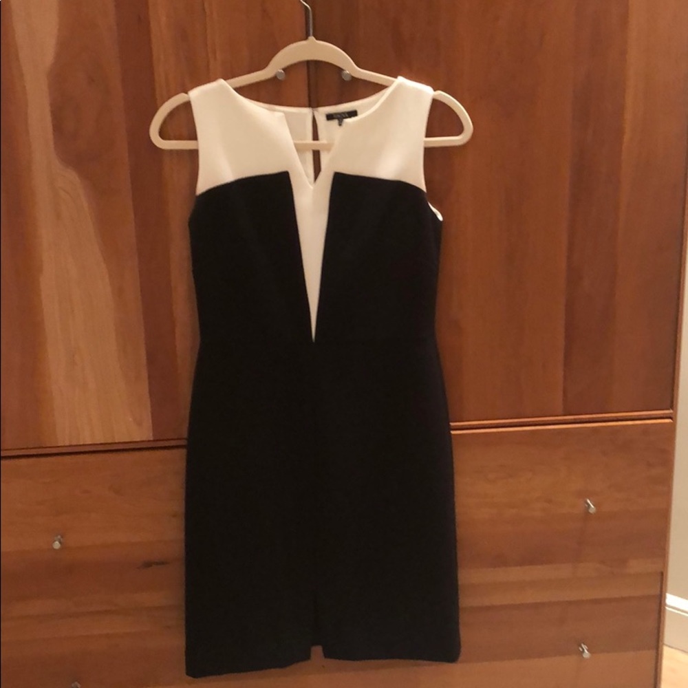 Sleek Raoul Sheath Dress